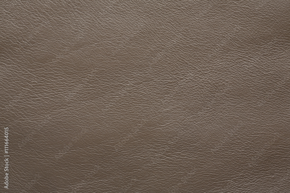 Fototapeta premium leather taupe