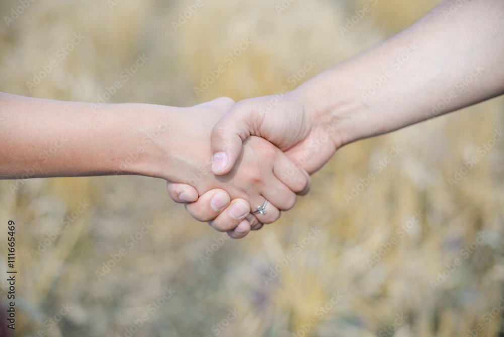 Handshake at the harvest on wheat field background Handshake at the harvest on wheat field background