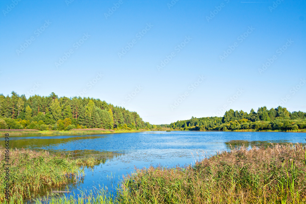 Landscape with the wood, the lake and the rivulet in Pushkin Hills, Pskov region, Russia