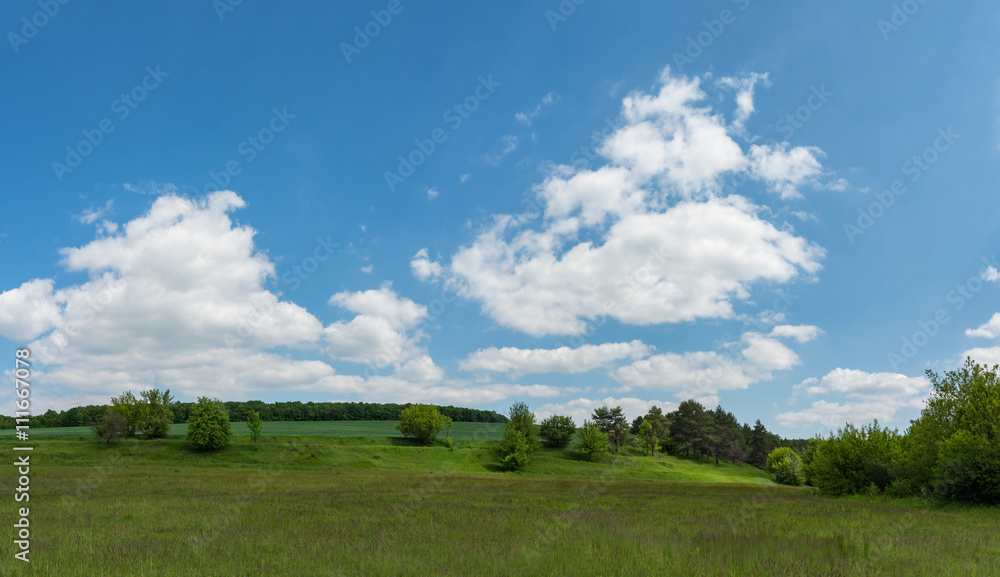 Green field with blue sky