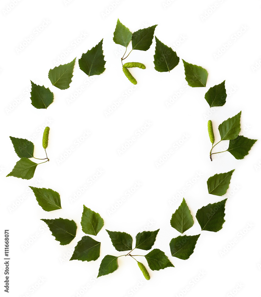 Fototapeta premium frame with green birch leaves on white background. flat lay