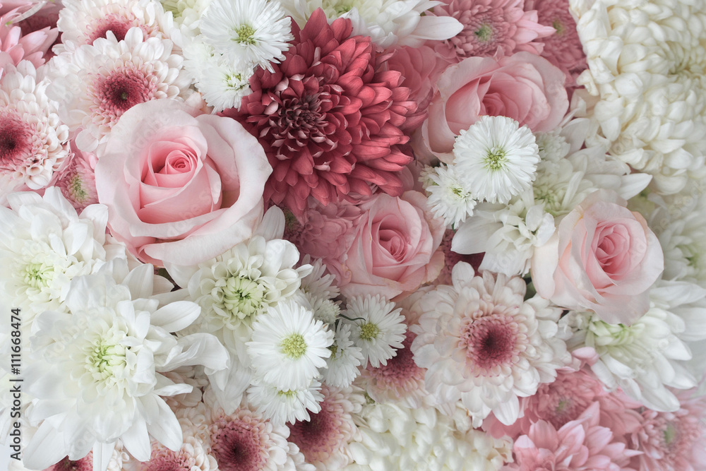 Background of pink and white daisies and roses Background of pink and white daisies and roses