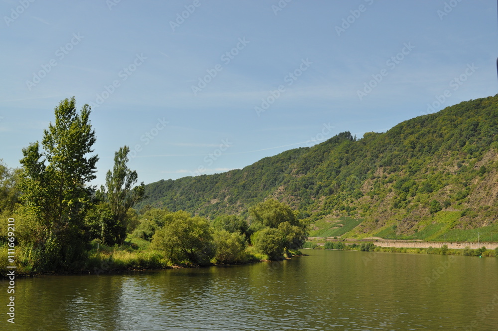 Moselblick Moselblick
