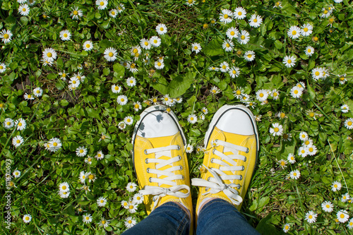 Obraz na płótnie Yellow sneakers in a dasiy field. First person view w salonie