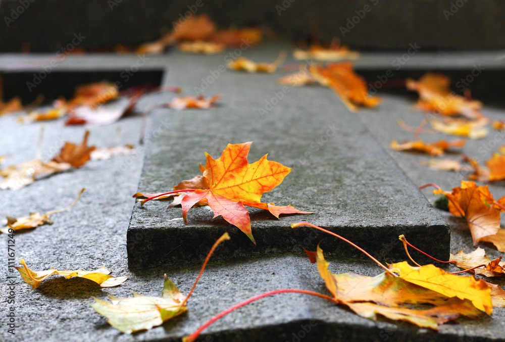 Naklejka premium The autumn trees, the old grave in the cemetery of Pere-Lachaise.