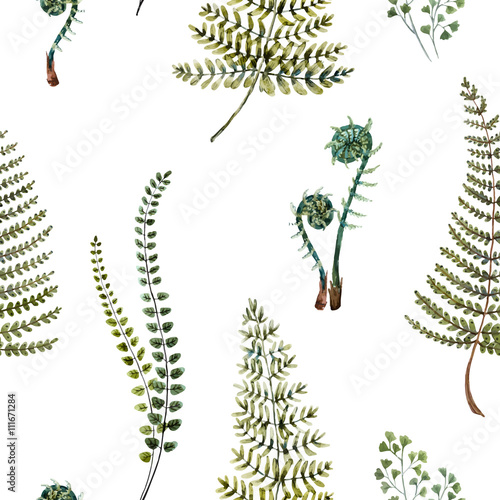 Watercolor fern pattern