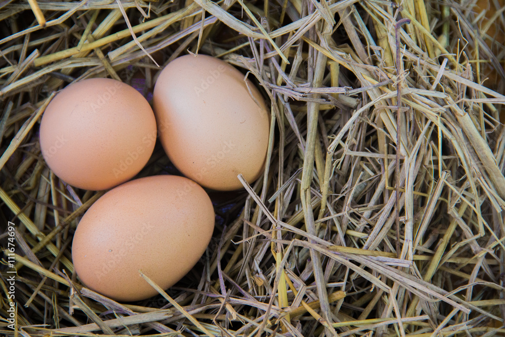 Fresh brown eggs Fresh brown eggs