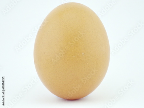Isolated Egg with white background