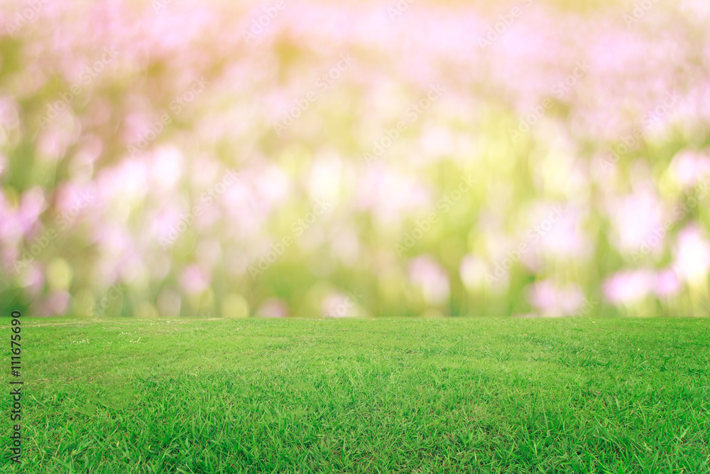 The bokeh and grass on background