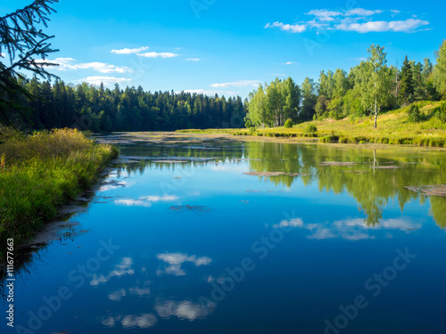 Russian summer landscape with lake and forest