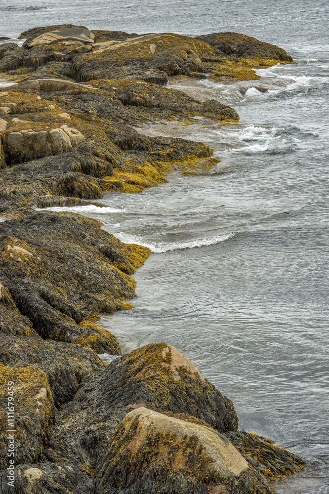 Peggy's cove Nova Scotia