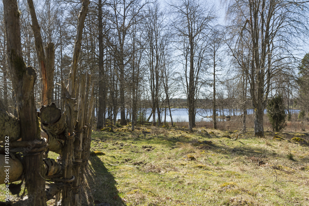 Fototapeta premium Beteshage med gärdsgård av enestörar