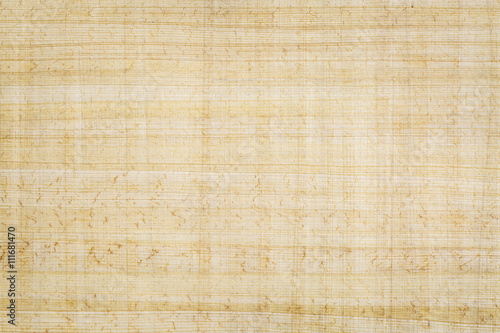 Obraz na plátně Egyptian papyrus paper