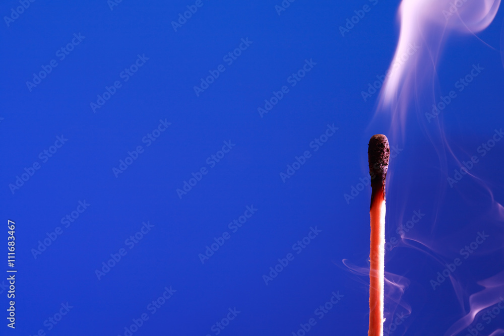 Extinguished Match On Blue
