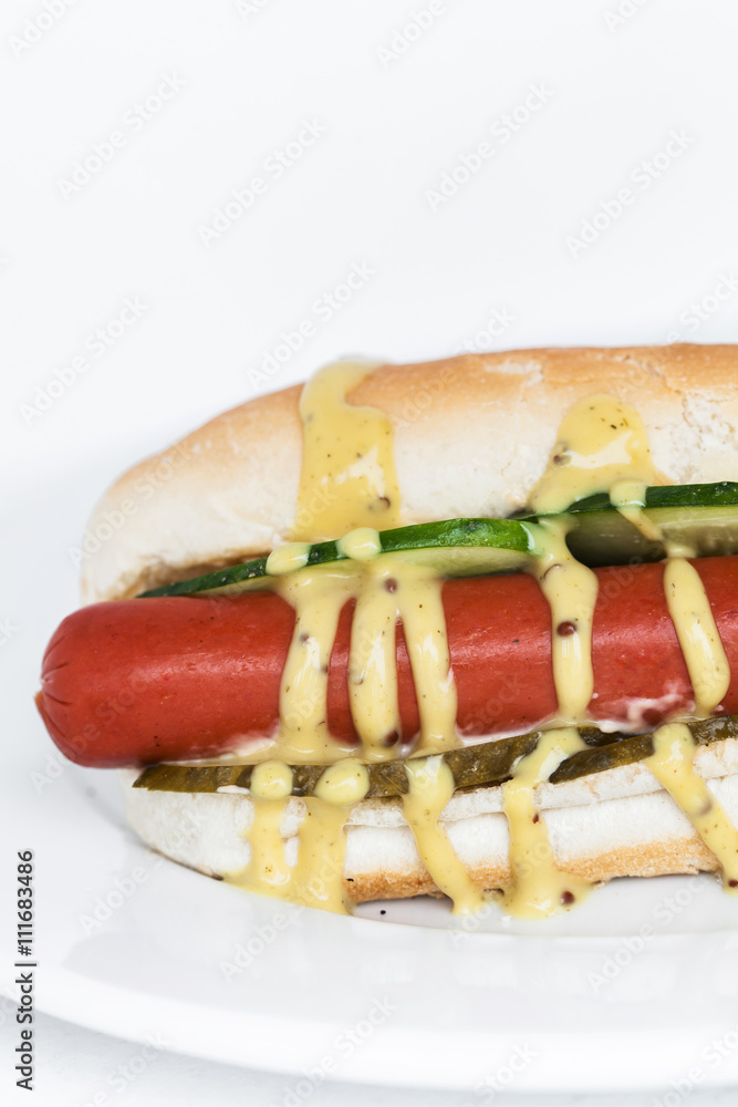 Fresh appetizing hot-dog Fresh appetizing hot-dog