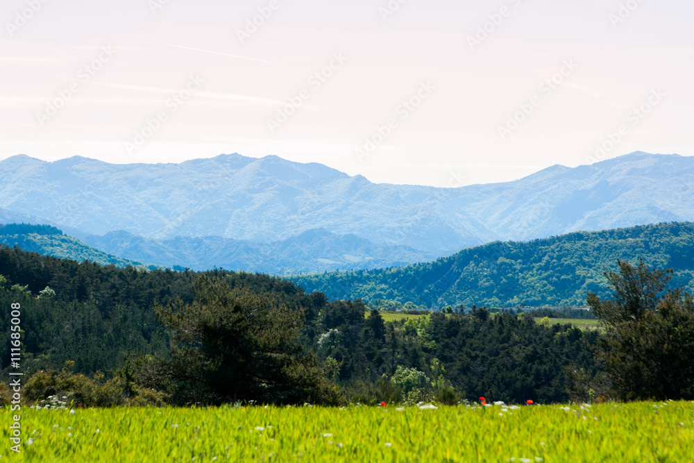 paysage dans les Hautes Alpes - France