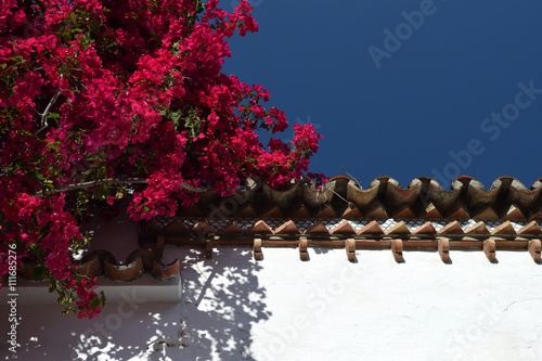 Fototapeta Naklejka Na Ścianę i Meble -  Pink flowers on a white wall with tiles and blue sky
