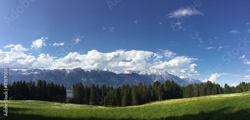 alpenpanorama mit bergwiese