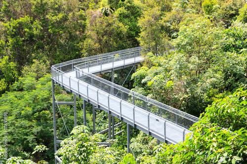 Photography Forest Walk of Telok Blangah Hill Park rainforest, Singapore