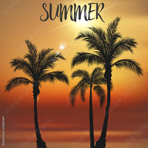 Summer sunset over palm trees