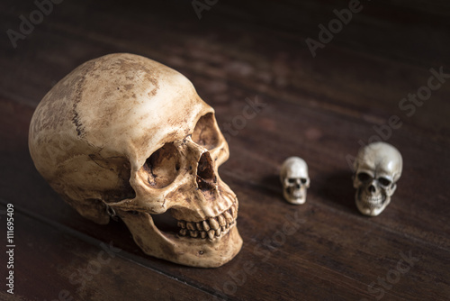 still life photography with human skull on wooden table, horror halloween con...