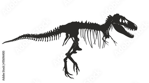 Skeleton of dinosaur