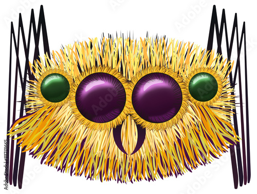 Huge hairy spider