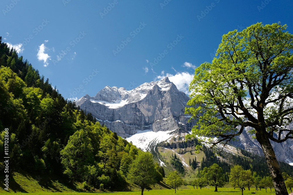 Großer Ahornboden im Karwendelgebirge