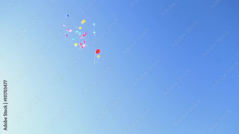 Colorful balloons fly into the sky
Colorful balloons fly into the sky