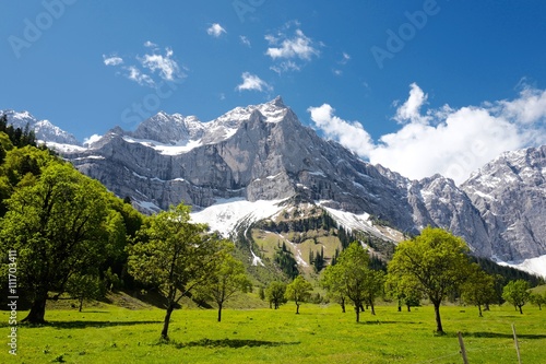 Naturschönheit großer Ahornboden in Tirol