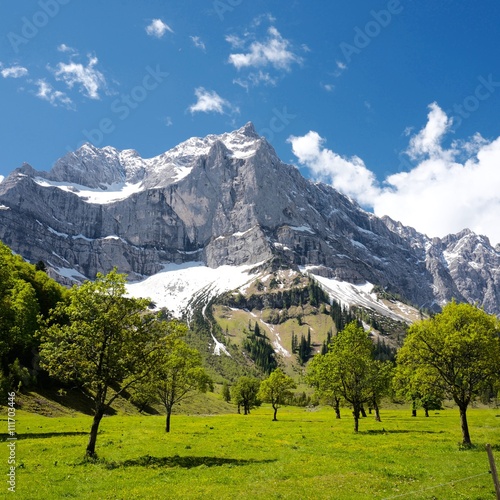 Naturschönheit großer Ahornboden in Tirol