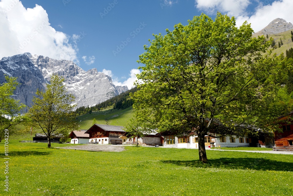 Engalmen am großen Ahornboden in Tirol