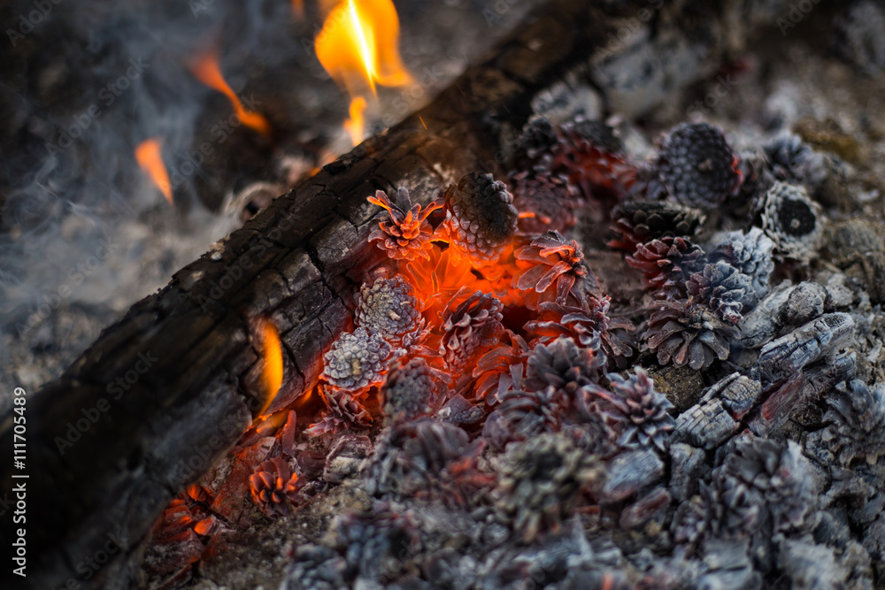 Orange fire flames isolated on black background Orange fire flames isolated on black background