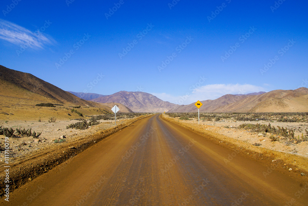 Dirt road in Chile