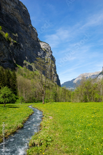 Green field at the base of the Swiss Alps