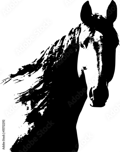 Horse logo vector 