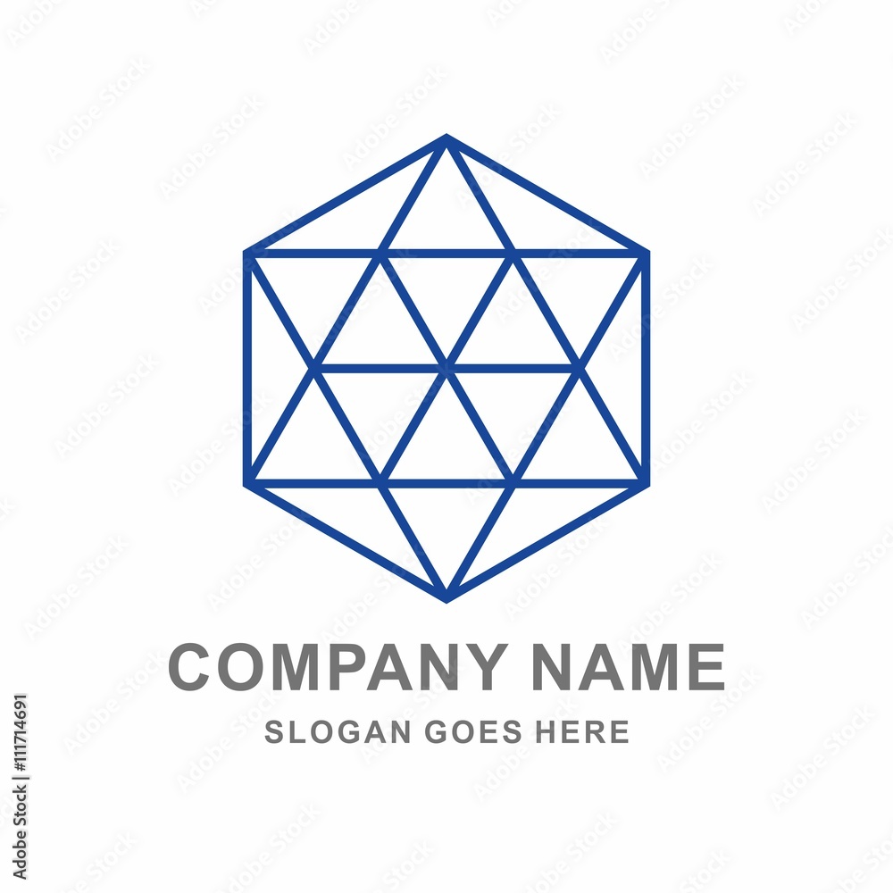 Fototapeta premium Geometric Hexagon Triangle Thin Line Vector Logo Template
