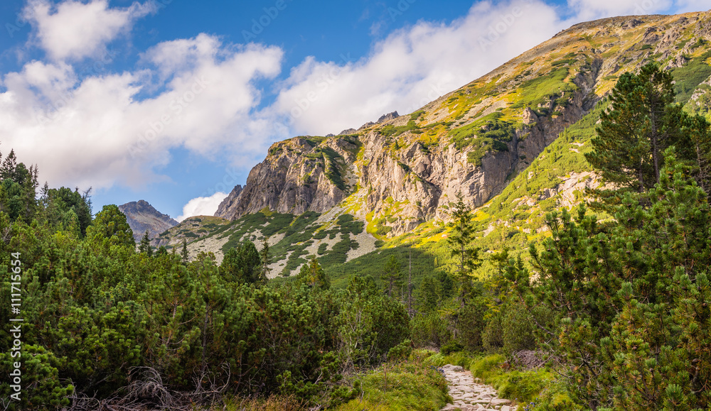Mountain Landscape on Sunny Day. View form Hiking Trail. Mlynicka Valley, High Tatra, Slovakia.