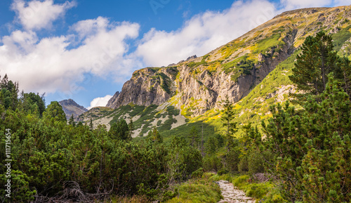 Mountain Landscape on Sunny Day. View form Hiking Trail. Mlynicka Valley, High Tatra, Slovakia.