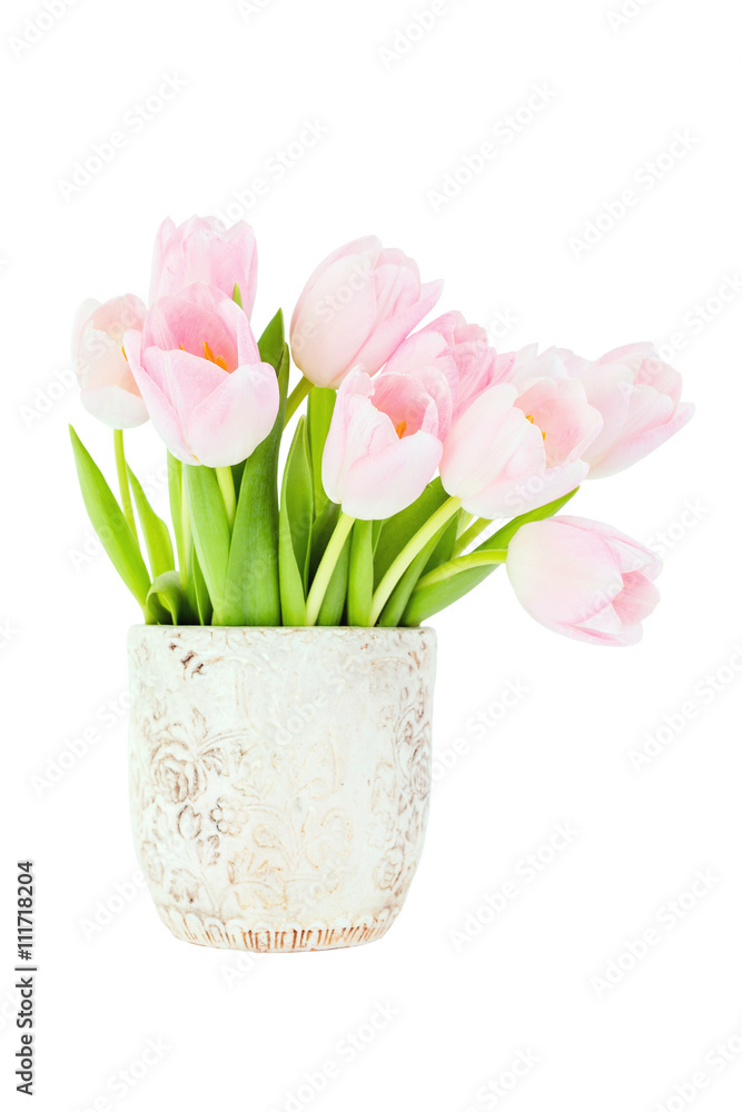 Obraz premium Pink tulips bouquet in vase. Isolated over white background 
