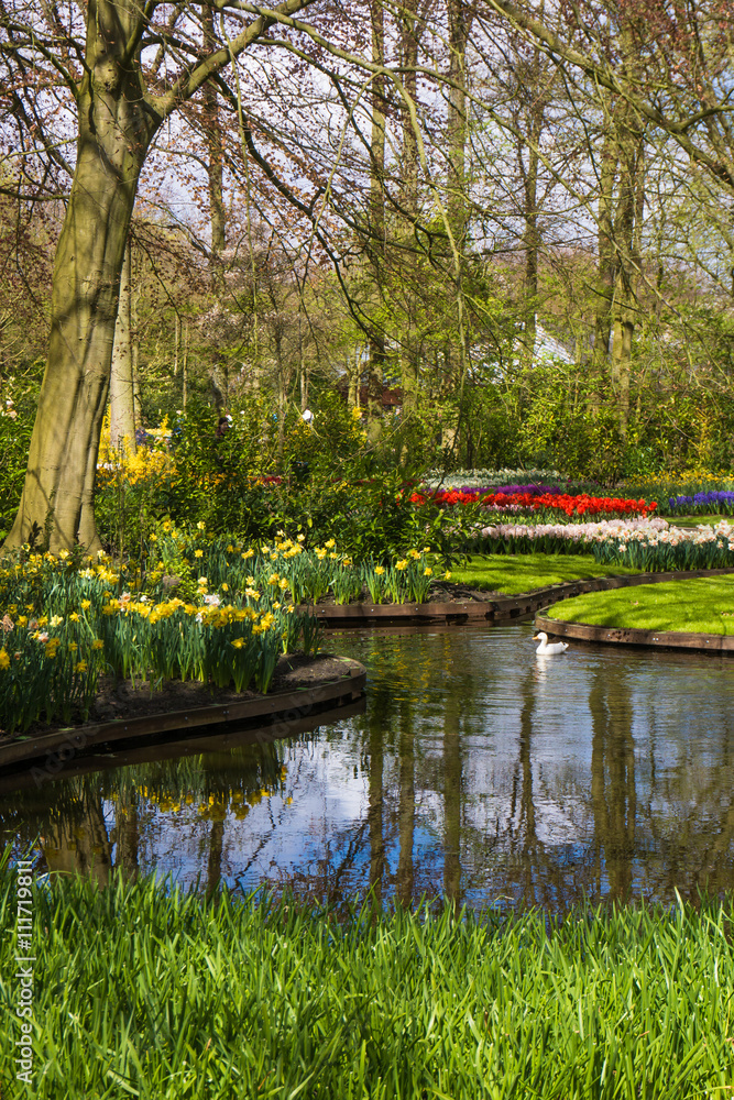 beautiful garden. Park