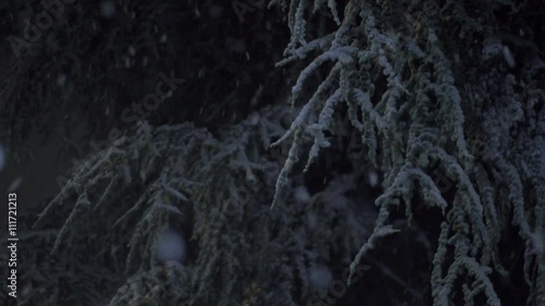 Beautiful winter night with big snowflakes
