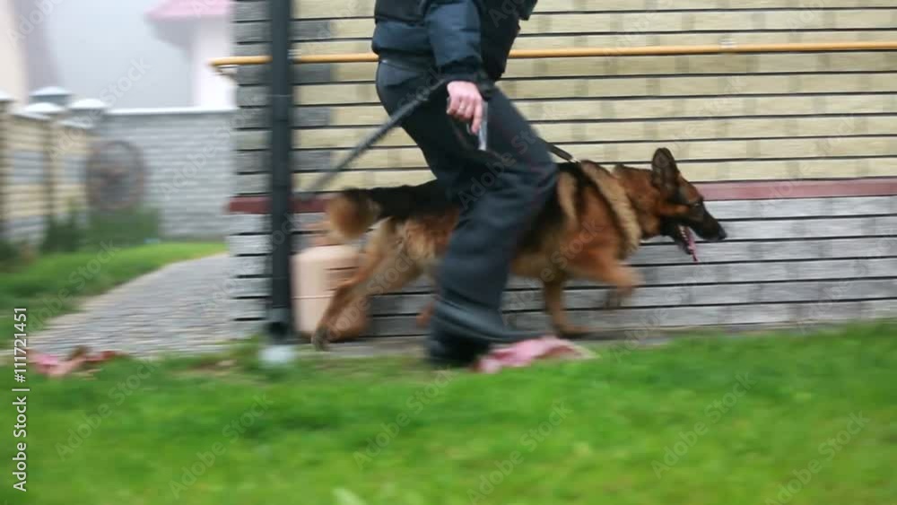 A policeman and a dog looking for the perpetrator A policeman and a dog looking for the perpetrator