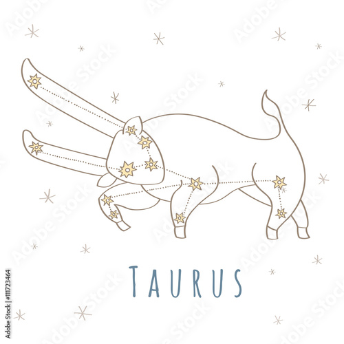 taurus - Zodiac sign 12