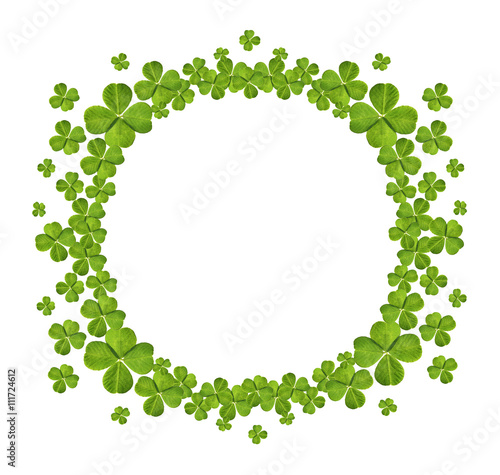 Clover leaves, isolated on white