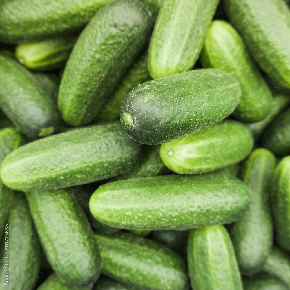 fresh cucumber.  Cucumber background