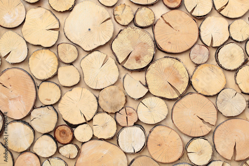 Abstract background of wooden stumps