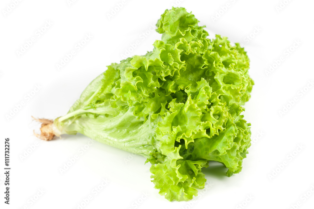 Lettuce isolated on white background Lettuce isolated on white background