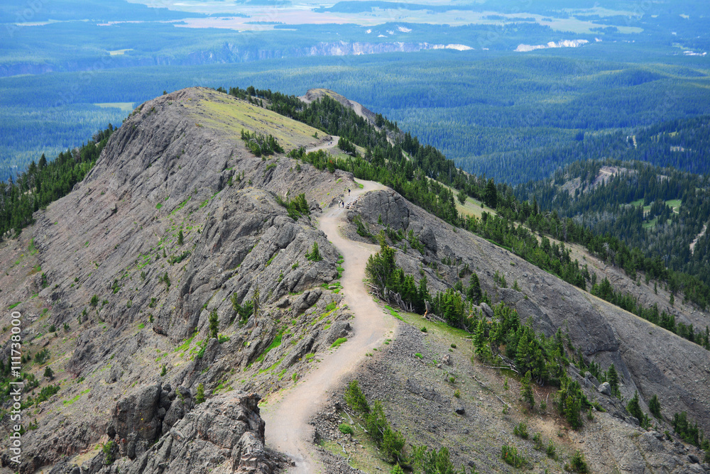 View South from Mount Washburn View South from Mount Washburn