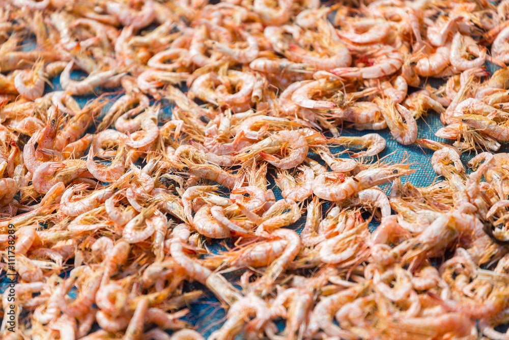 Dried Shrimp